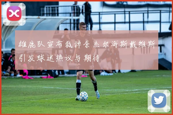 雄鹿队宣布裁掉奈杰尔海斯戴维斯引发球迷热议与期待